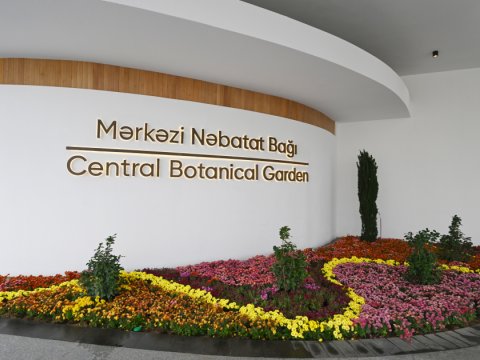 Nəbatat Bağına giriş neçəyədir?