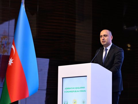 Hər bir insan anlamalıdır ki, azyaşlı qızı ərə vermək olmaz - Emin Əmrullayev