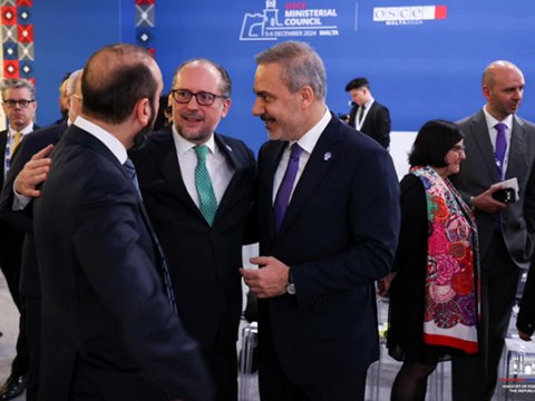 Mirzoyan Fidanla bir arada