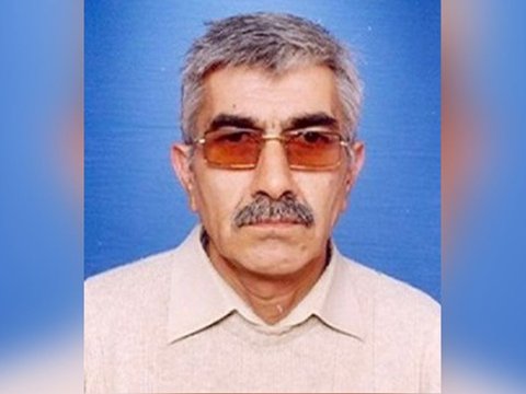 &ldquo;Navye-Stoks&rdquo; tənliyinin həllini azərbaycanlı professor tapdı