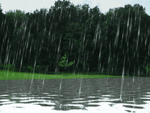 Leysan yağış, 11 dərəcə şaxta&nbsp;- Günün&nbsp;havası