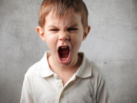 Çətin tərbiyə olunan uşaqlar üçün&nbsp;müəssisə açılacaq