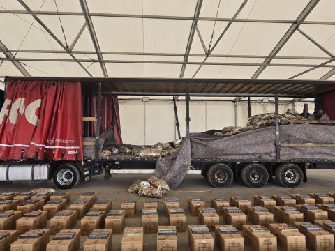 Gömrükdə pirotexniki vasitələr aşkarlandı - FOTO