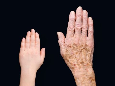 Alimlər yaşlanmanın səbəblərini ARAŞDIRDILAR