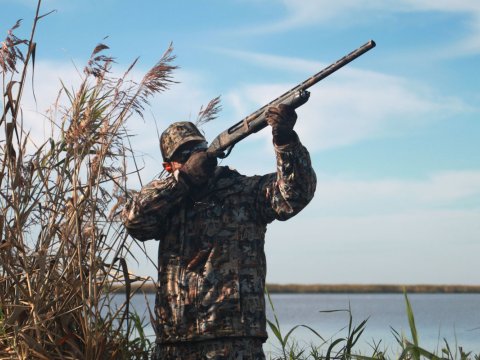 Azərbaycanda ov mövsümü nə vaxt başlayacaq? - Rəsmi CAVAB