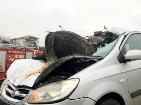 Goranboyda maşın atla toqquşdu - Sürücü xəsarət aldı