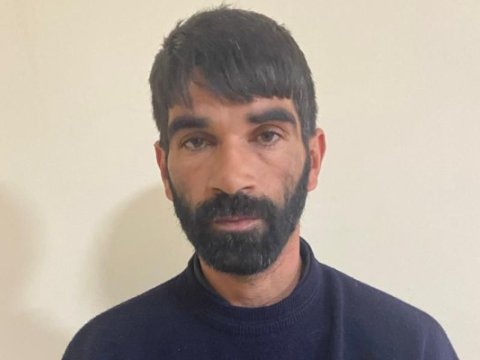 İnək oğrusu həbs edildi