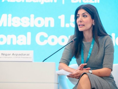 Diplomatik sahədə çalışan qadınların sayı artırılsın! - Deputat