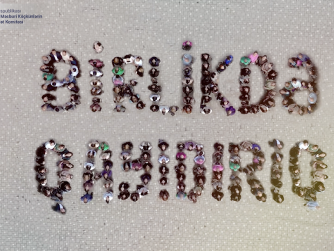 Bərdədə &ldquo;Birlikdə qayıdırıq&rdquo; fləşmobu keçirilib - VİDEO