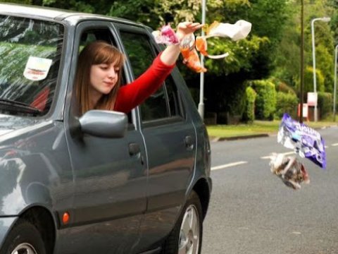 Maşından yerə zibil atanlar 200-1000 manat cərimələnəcək