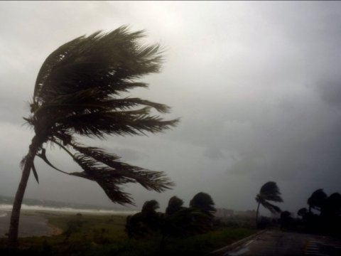 Küləkli hava ilə bağlı sarı xəbərdarlıq - Diqqət!