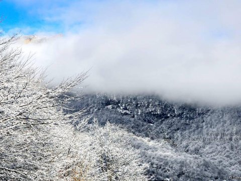 Bakıda&nbsp;külək,&nbsp;rayonlarda qar&nbsp;- SABAHIN HAVASI