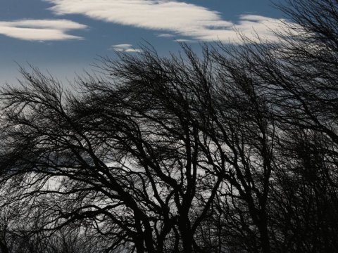 Bakıda külək güclənib&nbsp;- FAKTİKİ HAVA