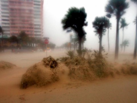 &ldquo;Şido&rdquo; qasırğası:&nbsp;Ölənlərin sayı 14-ə çatıb