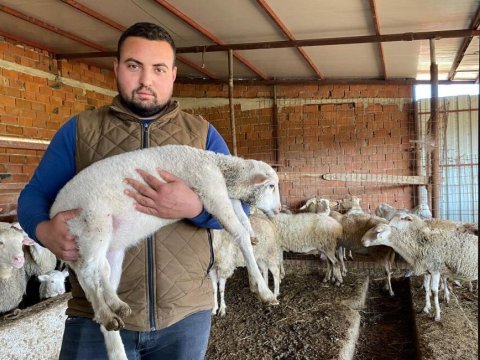 5 ayaqlı quzu hər kəsi heyrətləndirdi - VİDEO