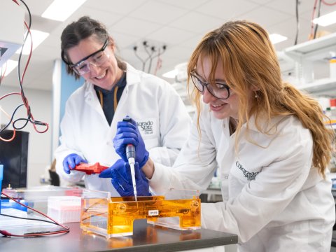 Universitetlər professorlara tədqiqat üçün şərait yaradır? - SORĞU