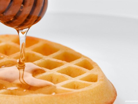 Təbii balı necə ayırd edə bilərik?