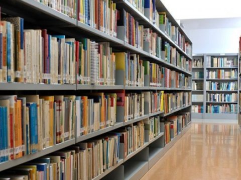 Kitabxanaçıların maaşı çox azdır - Komitə sədri dilə gəldi