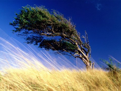 Küləkli hava ilə bağlı&nbsp;XƏBƏRDARLIQ
