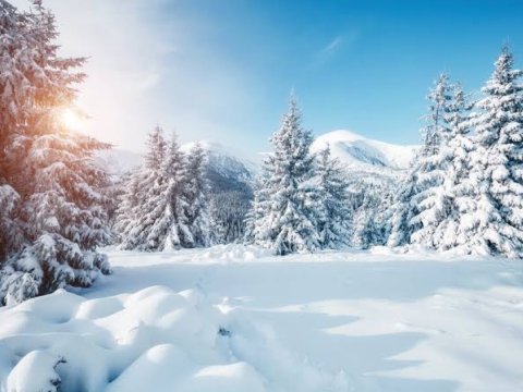 Qışın sərt keçəcəyi xəbərinə nazirlikdən REAKSİYA