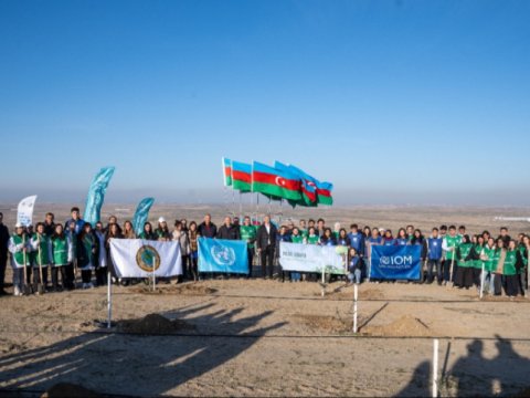 Maştağada&nbsp;ağacəkmə aksiyası - FOTOLAR