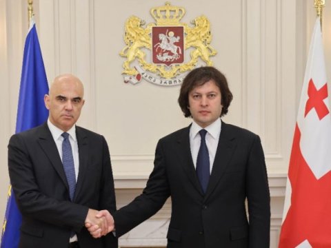 Gürcüstanın Baş naziri Avropa Şurasının Baş katibi ilə görüşüb