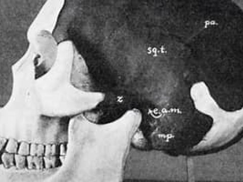Tarixin ən böyük arxeoloji fırıldağından 112 il keçir