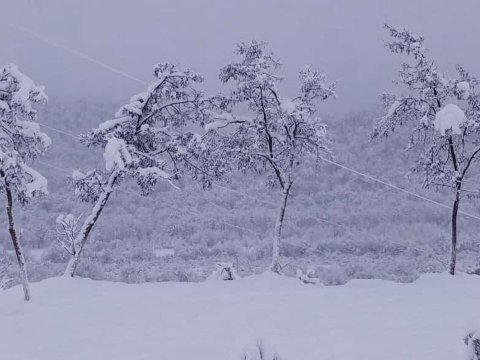 Bu bölgələrə qar YAĞIR