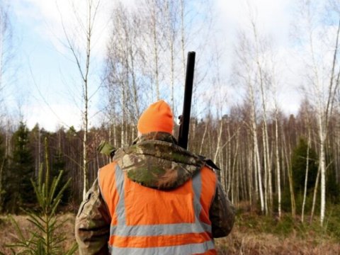 Ov mövsümü niyə açılmadı? - Rəsmi CAVAB