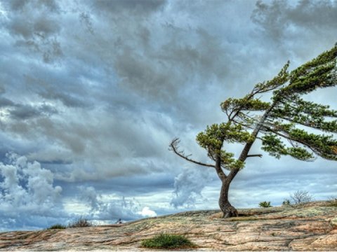 Hava yağmursuz olacaq,&nbsp;külək&nbsp;əsəcək - PROQNOZ