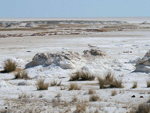 Şoranlaşmaya qarşı PUL AYRILIR