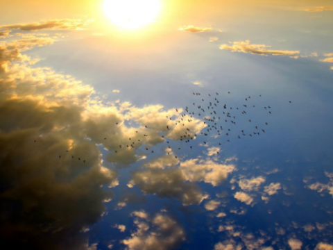 Duman, 16 dərəcə isti - Günün havası