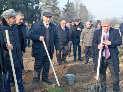 Prezidentin ad günündə minlərlə ağac əkildi - FOTO&nbsp;