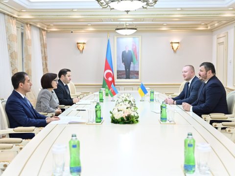 Sahibə Qafarova Ukrayna səfiri ilə müzakirə apardı