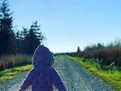 Sumqayıtda məktəbli qız itkin düşdü