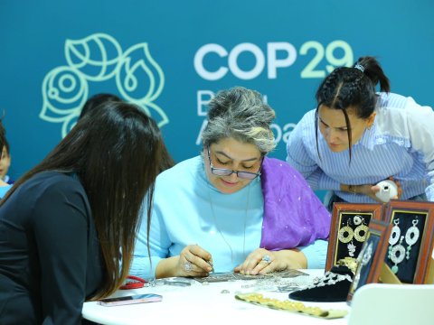 COP29 çərçivəsində "İqlim və sənət" adlı ustad dərsləri keçirilib - FOTO
