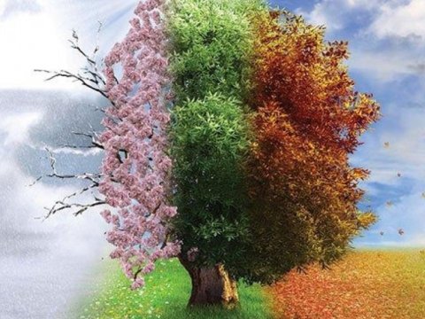 Gələn il fəsillərin Azərbaycana daxilolma vaxtı açıqlandı