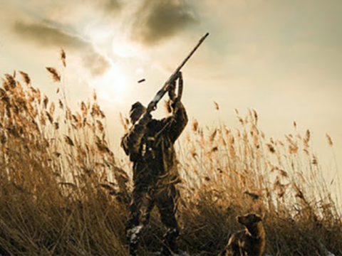 Hansı halda ovçuluq bileti verilmir? - Qaydalar açıqlandı