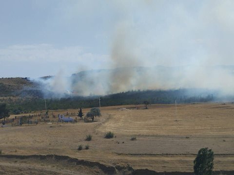 Naxçıvanda 2 hektar ərazi YANIB