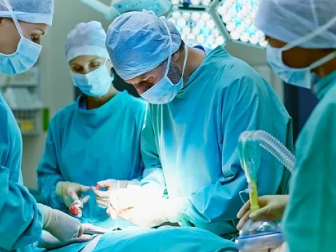 Saxta plastik cərrahlarla bağlı komissiya yaradıldı - 1 aydan az vaxtları var