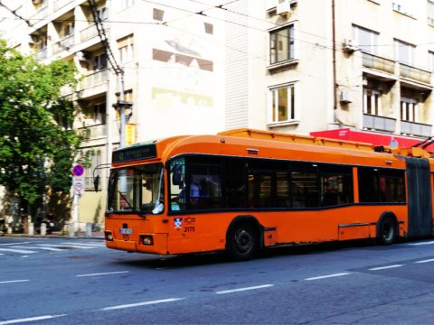 Bu paytaxt sakinləri ictimai nəqliyyatdan pulsuz istifadə edəcək