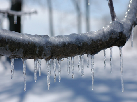Azərbaycanda 9 dərəcəyədək şaxta olub