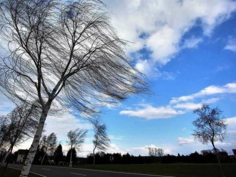 Küləyin sürəti artıb&nbsp;- FAKTİKİ HAVA