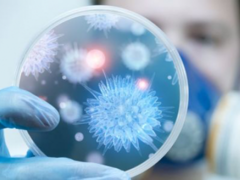 Yeni virus Qırğızıstana çatdı