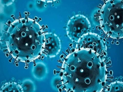 Nazirlikdən yeni yayılan virusla bağlı ÇAĞIRIŞ