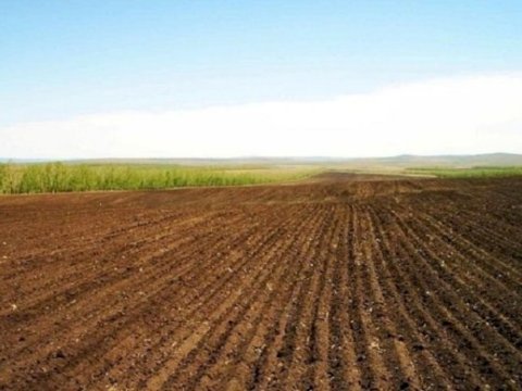 Torpaqların kateqoriyasına dair müraciətə baxılması elektronlaşdırıldı