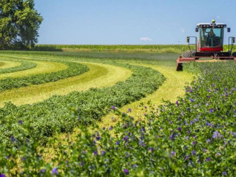 Qarabağa qayıdanlar aqrar sahədə yeni imkanlar QAZANACAQ