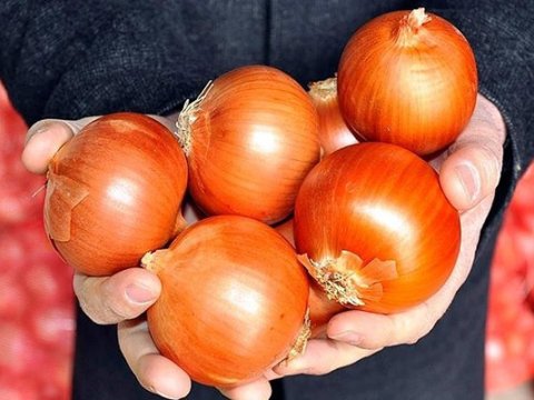 Soğanın qiyməti artıb