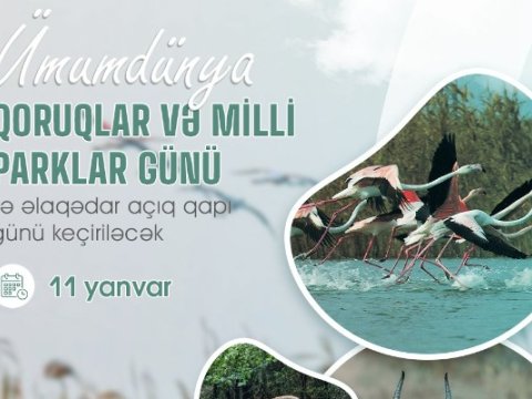 Milli parklarda &ldquo;açıq qapı&rdquo; günü&nbsp;keçiriləcək