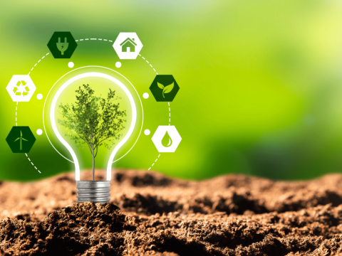 &ldquo;Rəqəmsal ekologiya&rdquo; informasiya sistemi yaradıldı